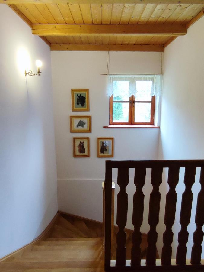 Hotel Hajstra Krempna Exteriér fotografie